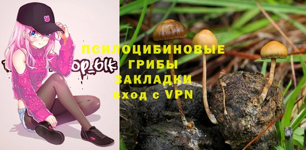меф Щигры