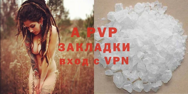 ГАЛЛЮЦИНОГЕННЫЕ ГРИБЫ Кукмор