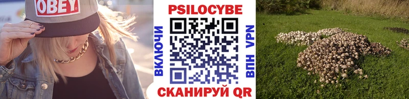 KRAKEN как зайти  Нестеровская  Псилоцибиновые грибы Psilocybe 